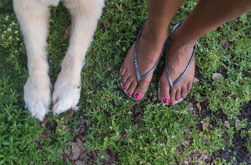 汪汪《腳與狗》一直看人家的腳好害羞喔(//▽//) 汪汪《腳與狗》一直看人家的腳好害羞喔(//▽//)