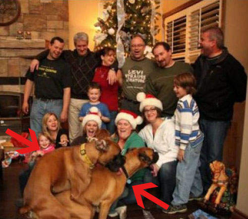 聖誕版《怪怪家庭照》等等、我好像發現了什麼...XDD 聖誕版《怪怪家庭照》等等、我好像發現了什麼...XDD