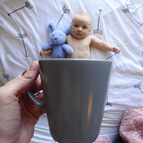 《杯子寶寶》敲可愛  現在生一個來得及嗎～