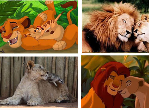 哈庫拉瑪塔塔《獅子王故鄉》超感動場景重現 哈庫拉瑪塔塔《獅子王故鄉》超感動場景重現