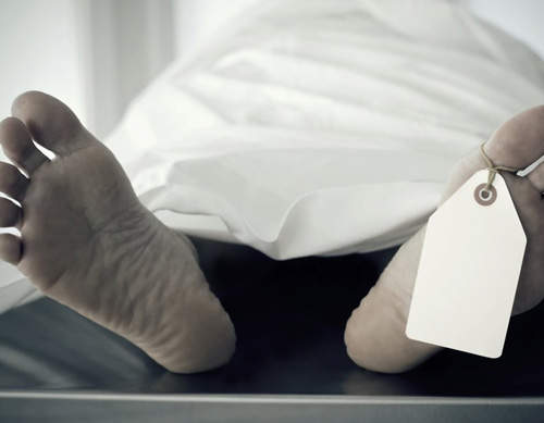 停屍櫃大拍賣　夏天躺上去保證讓你好好睡一覺起不來(WTF？)