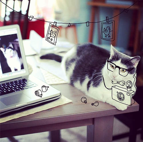 Instagram《貓咪異想世界》牠們瞬間都變得好有戲 XD Instagram《貓咪異想世界》牠們瞬間都變得好有戲 XD