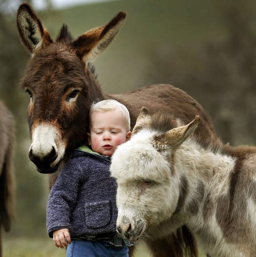 《小男孩與小毛驢》到哪裡都形影不離 《小男孩與小毛驢》到哪裡都形影不離