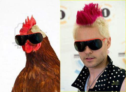 《裝酷炫歪國人》穿這樣上街真有性格(笑)