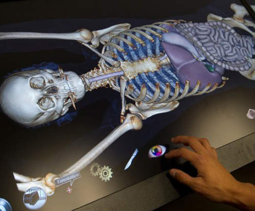 虛擬解剖桌 比超執刀更逼真的互動體驗 虛擬解剖桌 比超執刀更逼真的互動體驗