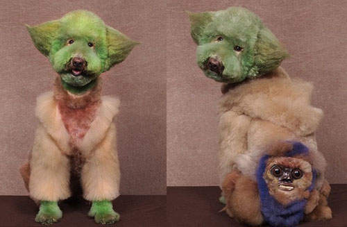 《狗狗造型大賽》牠們........是無辜的T^T