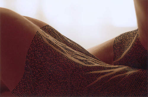 《身體聖經》這些是寫在身體甚麼部位呢？