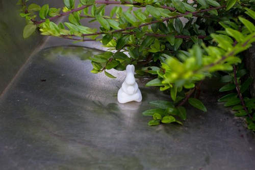 《神秘小白兔》都市版尋找小兔兔遊戲！？