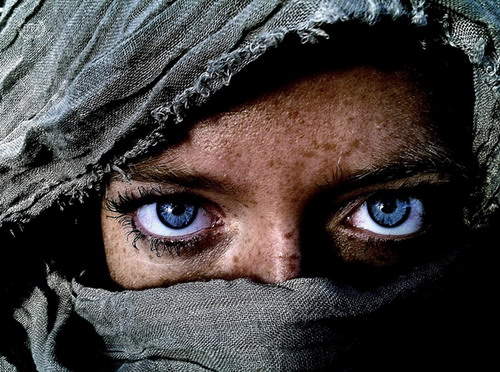 2013年度《iPhone攝影大賽優勝》 這些真的都是手機拍的嘛~(驚) 2013年度《iPhone攝影大賽優勝》 這些真的都是手機拍的嘛~(驚)