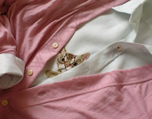 更多《胸口躲貓貓》刺繡達人繡貓繡上癮啦( つ•̀ω•́)つ 更多《胸口躲貓貓》刺繡達人繡貓繡上癮啦( つ•̀ω•́)つ