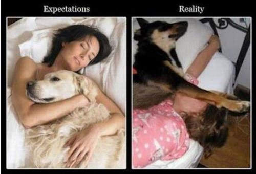 《幻想VS現實》之你和別人想的不一樣