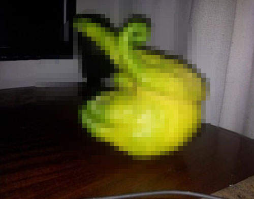 《惡魔檸檬》長相太詭異 不知道吃起來是什麼感覺...... 《惡魔檸檬》長相太詭異 不知道吃起來是什麼感覺......