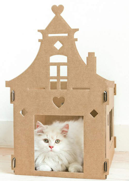 《貓的紙屋》其實貓咪也想住在大別墅？