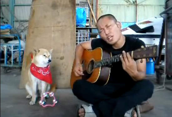 《無奈柴犬》趴兔 主人你夠了沒啊...XD