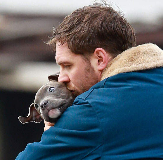 電影《動物救援》湯姆哈迪與狗狗的溫馨片場>3< 電影《動物救援》湯姆哈迪與狗狗的溫馨片場>3<