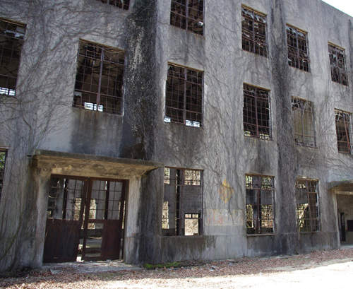 毒氣島　可愛兔島之前漸漸被人遺忘的過去