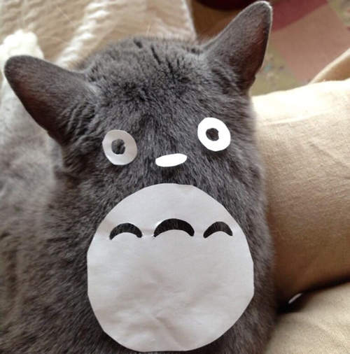 《吉卜力動畫》最佳領導者是娜烏西卡 最適合當戀人的竟然是...? 《吉卜力動畫》最佳領導者是娜烏西卡 最適合當戀人的竟然是...?