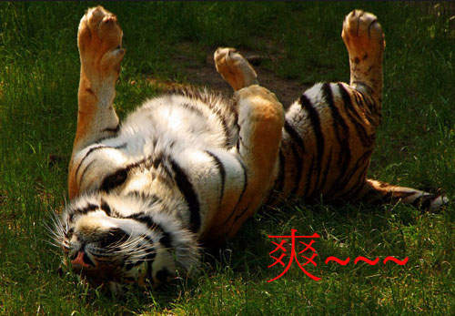 《最讓你感到舒服的20件事》怎麼感覺有點變態~``~