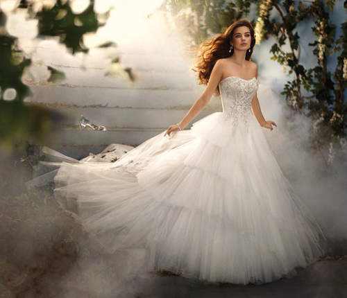 《迪士尼主題婚紗》那可以附贈王子嗎？（誤）