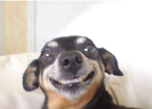 微博《十大錯覺體》大流行　也只能這樣安慰自己了～（憨笑）