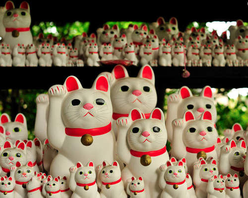 東京豪德寺《招財貓神社》的起源是這樣