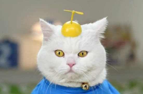 西班牙《真實版哆啦A夢》不是藍色的貓就是小叮噹吧XD 西班牙《真實版哆啦A夢》不是藍色的貓就是小叮噹吧XD