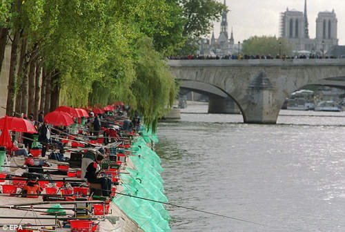 巴黎切蛋鱼出没注意 塞纳河之中传出蛋蛋的哀伤