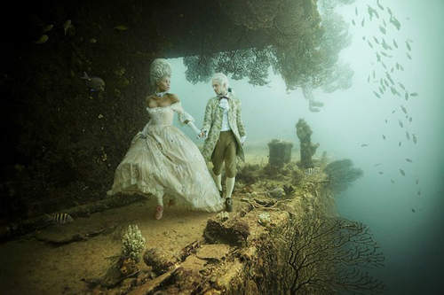 Andreas Franke《海底畫廊》趴兔~我也想在海底漫步 Andreas Franke《海底畫廊》趴兔~我也想在海底漫步
