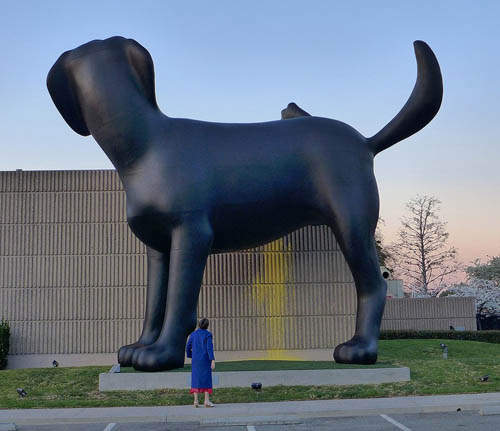 拉不拉多撒尿狗 博物館外的驚人巨型創作 拉不拉多撒尿狗 博物館外的驚人巨型創作