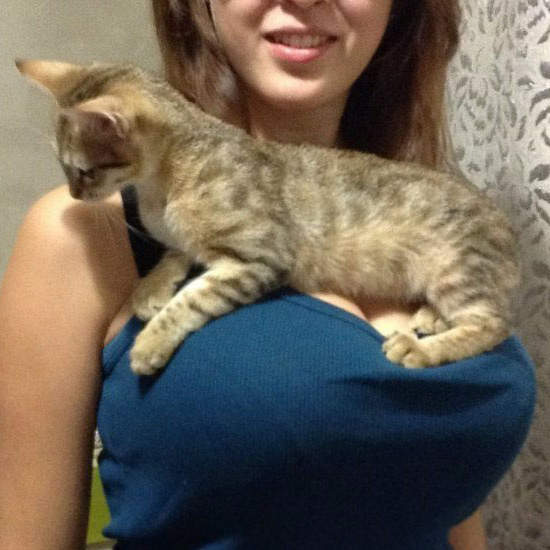 《胸部上的貓》我可以當那隻貓嗎? 《胸部上的貓》我可以當那隻貓嗎?