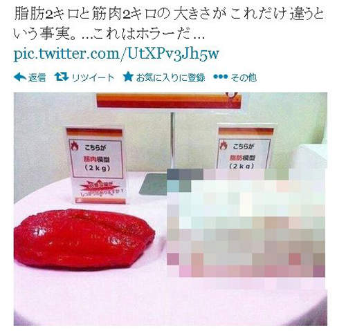 １００％ 絕對會讓你想減肥的照片(；´Д｀) 