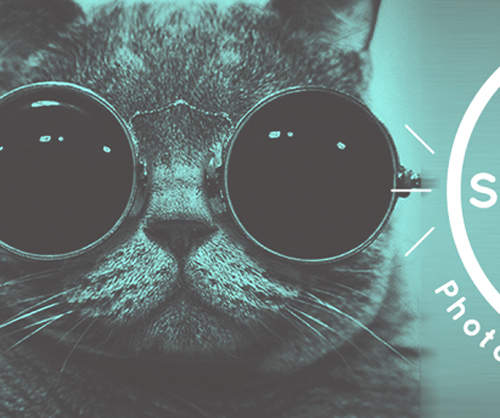 《Snapcat》貓咪自拍app 首先請多準備幾張螢幕保護貼… 《Snapcat》貓咪自拍app 首先請多準備幾張螢幕保護貼…