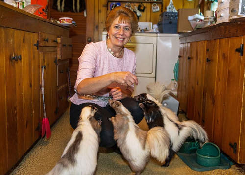 超酷《美國鼬媽》~為了寶貝再臭也甘願⊙＿⊙？