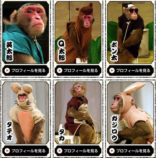 《日光猿軍團》解散通知,猴子爺爺終於要退休啦 《日光猿軍團》解散通知,猴子爺爺終於要退休啦