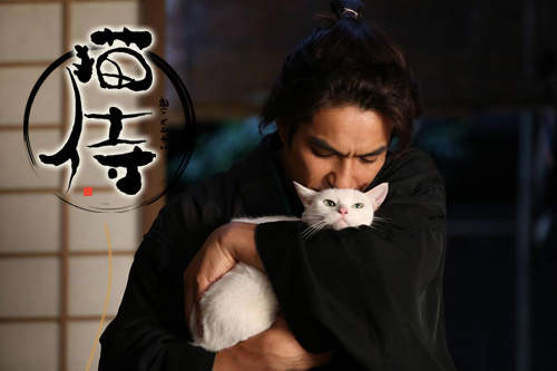 《貓侍電影版》讓北村一輝跟小白貓繼續萌死你ↀωↀ 《貓侍電影版》讓北村一輝跟小白貓繼續萌死你ↀωↀ