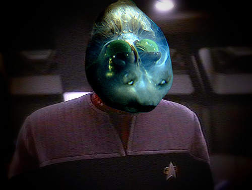 太平洋桶眼魚　花惹發!牠的頭部是透~明~滴．．．