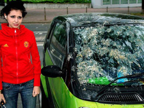 開車族請慎選停車位 要不然會受到鳥屎攻擊...T^T 開車族請慎選停車位 要不然會受到鳥屎攻擊...T^T