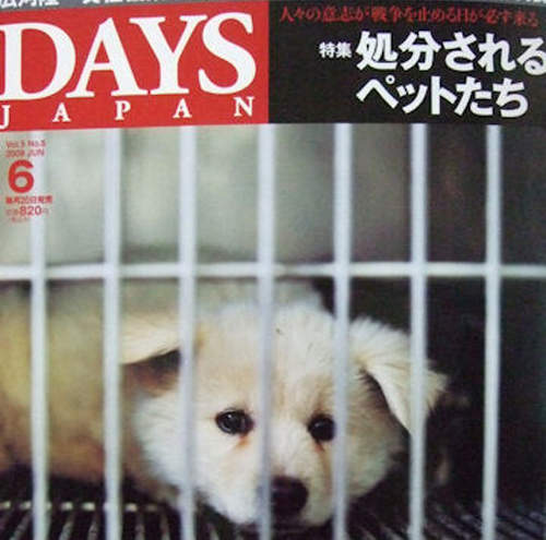 來自收容所的聲音《我很乖請不要遺棄我》(´;ω;`)  來自收容所的聲音《我很乖請不要遺棄我》(´;ω;`)