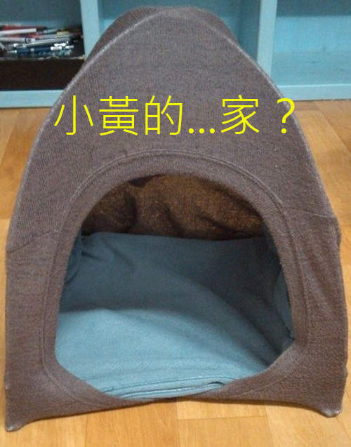 網友《自製狗窩》這到底是要給誰住的啦www? 網友《自製狗窩》這到底是要給誰住的啦www?