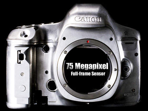 傳Canon秘密打造「7500萬畫素」全片幅超級單眼  最快年底亮相!? 傳Canon秘密打造「7500萬畫素」全片幅超級單眼  最快年底亮相!?