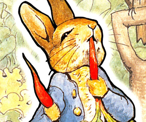 「彼得兔的爸爸他...」你一點都不想知道的小知識ᵔᴥᵔ 