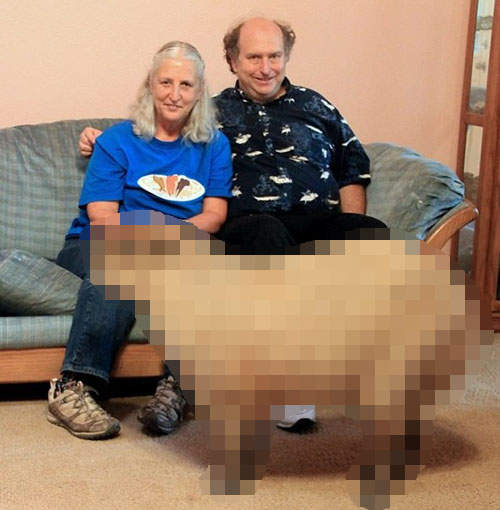 《家有水豚》牠到底是豬還是老鼠? 《家有水豚》牠到底是豬還是老鼠?