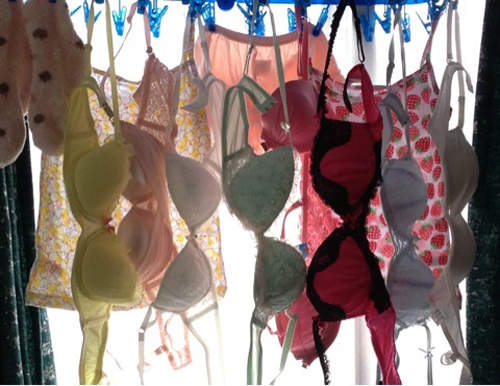 日本獨居女子《防壞人怪招》住宅外擺放的東西是？