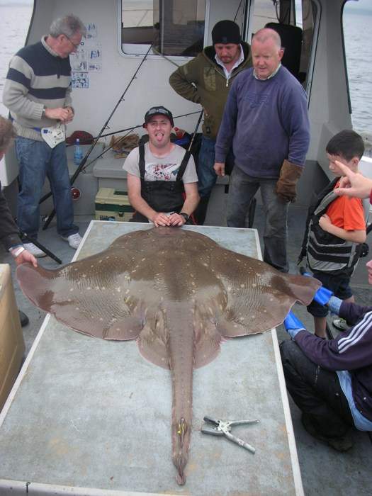 《很有戲的魟魚臉》人家也想跟牠合照......