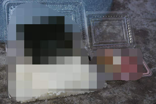 全日本《最便宜便當》只要45塊錢！？（；ﾟдﾟ）