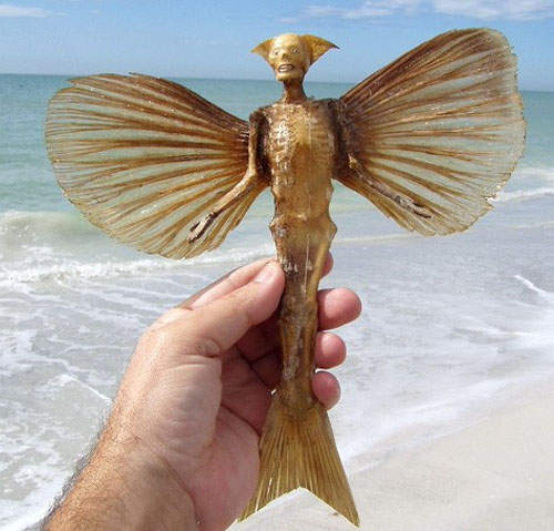 鹹魚藝術家Juan Cabana　你們在沙灘上發現的美人魚屍骨~其實都是他的傑作(嚇)