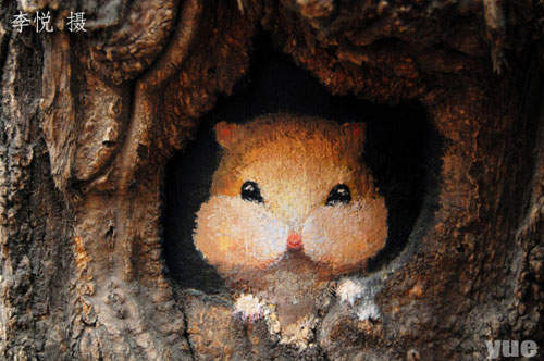 《畫樹洞的女孩》是什麼躲在樹洞裡？