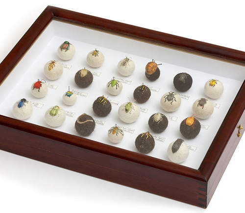 立體刺繡《昆蟲標本》怎麼看久還是會毛毛的... 立體刺繡《昆蟲標本》怎麼看久還是會毛毛的...