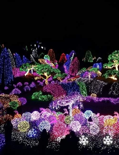 超美《五色星光花園》網友:不來你會後悔喔~