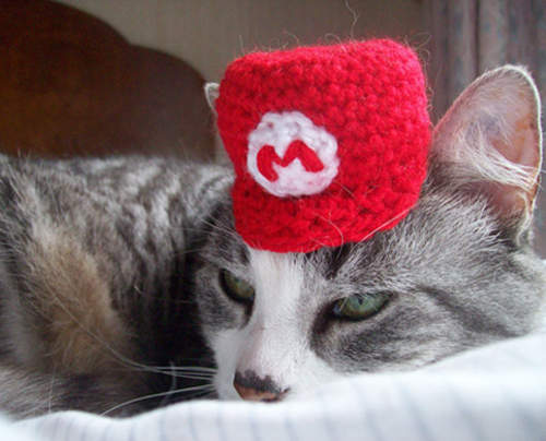 《貓的毛線帽》萬聖節一起變裝嘛～推推(੭ ˃ ω˂)੭ु